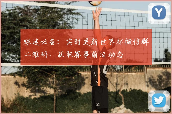 球迷必备：实时更新世界杯微信群二维码，获取赛事前沿动态