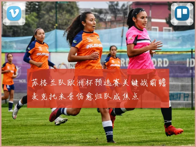 苏格兰队欧洲杯预选赛关键战前瞻麦克托米奈伤愈归队成焦点