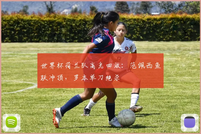世界杯荷兰队高光回放:范佩西鱼跃冲顶,罗本单刀绝杀