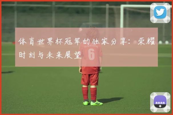 体育世界杯冠军的独家分享：荣耀时刻与未来展望