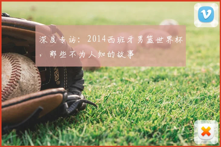 深度专访：2014西班牙男篮世界杯，那些不为人知的故事