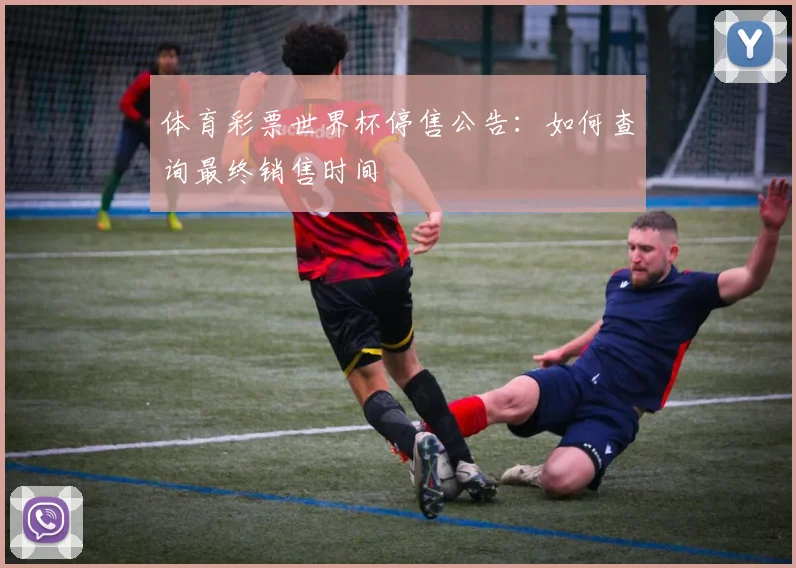 体育彩票世界杯停售公告：如何查询最终销售时间