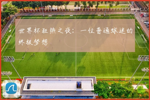 世界杯狂热之夜：一位普通球迷的终极梦想